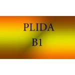 Сертификат Plida B1