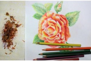 Как нарисовать розу. Видео урок